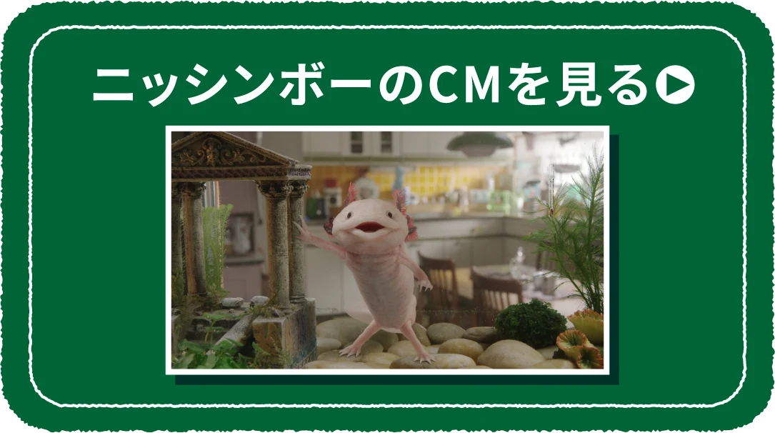 ニッシンボーのCMを見る